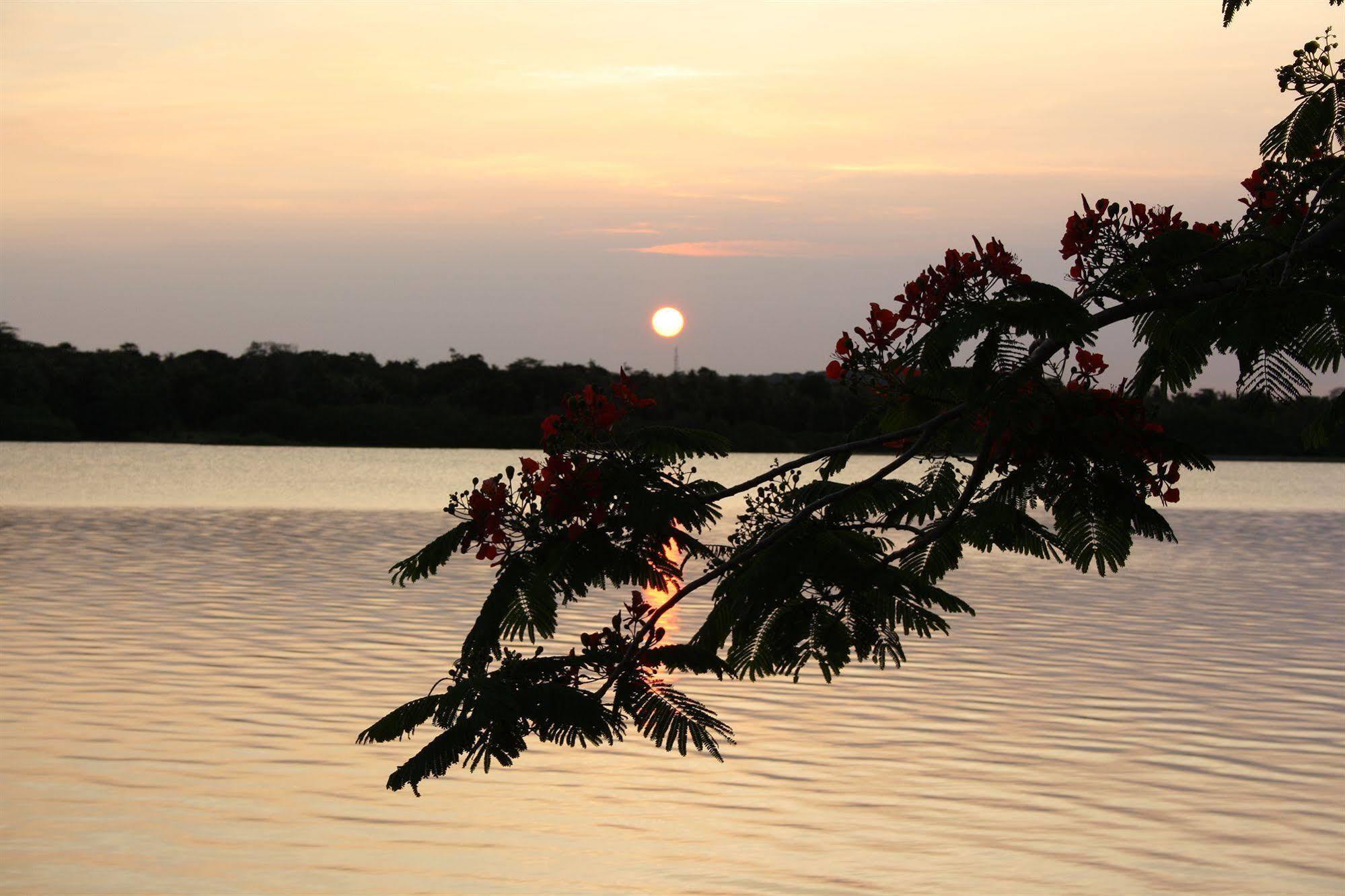 Sunset Bungalows Resort, Vanuatu Port Vila Luaran gambar
